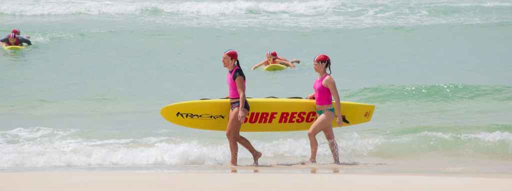 Nippers